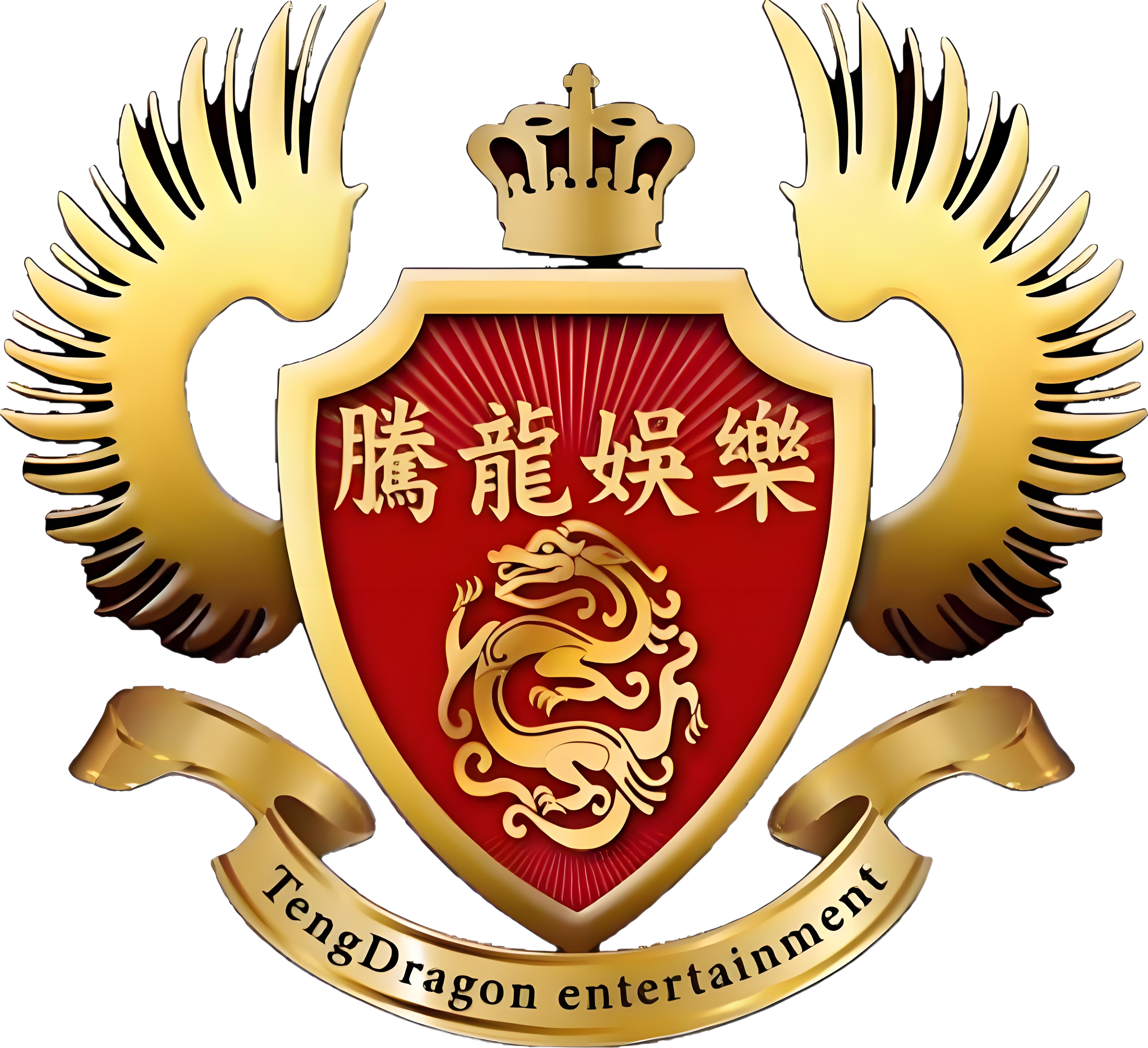 腾龙精英团队